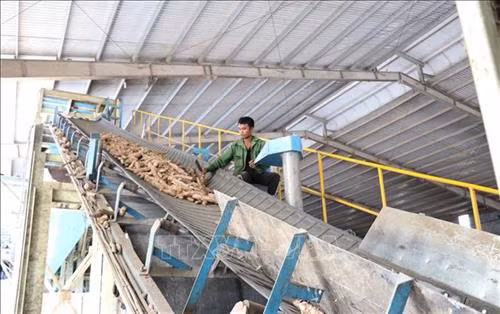 Công nhân sản xuất tại nhà máy tinh bột sắn của Công ty TNHH Thương mại Chế biến nông - lâm sản - đường Vạn Phát, huyện Krông Pa. Ảnh: Hoài Nam – TTXVN
