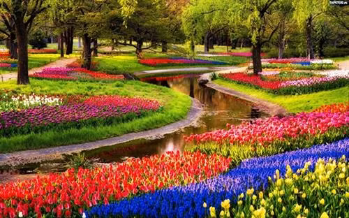 Nằm tại Lisse, một thị trấn nhỏ ở phía nam thủ đô Amsterdam, công viên Keukennhof còn được biết đến là "vườn châu Âu". Đây là vườn hoa lớn nhất thế giới với diện tích khoảng 32 ha và bảy triệu bông hoa tuy-líp thuộc 100 giống khác nhau. Ảnh: nhandan.com.vn Nằm tại Lisse, một thị trấn nhỏ ở phía nam thủ đô Amsterdam, công viên Keukennhof còn được biết đến là "vườn châu Âu". Đây là vườn hoa lớn nhất thế giới với diện tích khoảng 32 ha và bảy triệu bông hoa tuy-líp thuộc 100 giống khác nhau Đối với mỗi người dân Hà Lan, cối xay gió đã tạo nên đất nước của họ. Đây là niềm tự hào không gì sánh nổi và Kinderdijk là một trong những nơi lưu giữ tốt nhất của niềm tự hào ấy. Người ta gọi Kinderdijk là ngôi làng cối xay gió, bởi nơi đây tập hợp các cối xay gió mang nhiều giá trị lịch sử nhất tại Hà Lan. Hệ thống cối xay gió của làng Kinderdijk được UNESCO công nhận là di sản thế giới vào năm 1997.. Ảnh: nhandan.com.vn Cách Amsterdam khoảng 20 km, làng Zaanse Schans là một quần thể văn hóa gồm nhiều cối xay gió cổ và những bảo tàng lưu giữ các nét văn hóa truyền thống của người Hà Lan.. Ảnh: nhandan.com.vn Cung điện Hoàng gia tại Amsterdam vô cùng cổ kính, nguy nga và tráng lệ. Công trình này bảo tồn nhiều di sản quý giá và những tác phẩm điêu khắc bậc thầy của Hà Lan. Ảnh: nhandan.com.vn Làng Giethoorn không hề có một con đường nào, phương tiện chủ yếu để di chuyển là thuyền. Hàng trăm cây cầu bắc qua các tuyến đường thủy, kết nối những ngôi nhà với nhau, các kênh rạch cũng dẫn đến phòng trưng bày nghệ thuật và cửa hàng lưu niệm.. Ảnh: nhandan.com.vn Những ngôi nhà sắc màu trên hồ Reitdiephaven ở TP Groningen từ lâu đã trở thành một trong những điểm đến hút khách nhất tại Hà Lan, đặc biệt là đối tượng giới trẻ. Ảnh: nhandan.com.vn Bộ trang phục của phụ nữ Hà Lan xuất hiện trong chương trình quảng cáo Sữa cô gái Hà Lan gắn liền với tuổi thơ của không ít thế hệ người Việt Nam. Khi nói đến trang phục của người Hà Lan, không thể bỏ qua những đôi giày gỗ xinh xắn. Nguồn gốc của những đôi giày gỗ (hay guốc gỗ) xuất phát từ việc phần lớn đất liền Hà Lan đều nằm ngang hoặc thấp hơn mực nước biển cho nên đất nông nghiệp thường bị ngập úng, vào mùa đông thì nước ứ đọng sẽ bị đóng băng. Do đó, người Hà Lan nảy ra ý tưởng sáng chế những đôi giày gỗ giúp di chuyển dễ dàng, giữ chân khô ráo, đặc biệt là mùa đông thì ấm, mùa hè thì mát, thậm chí vào ngày đông khi trời quá lạnh người dùng có thể lót thêm rơm vào giày cho ấm và êm chân. Đôi giày gỗ cũng giúp những người vắt sữa bò bảo vệ đôi chân của họ không bị bò giẫm lên.... Ảnh: nhandan.com.vn Người hâm mộ Hà Lan mặc trang phục của đội tuyển bóng đá quốc gia "Cơn lốc mầu da cam". Ảnh: nhandan.com.vn Ở Hà Lan có đầy đủ phương tiện giao thông hiện đại nhưng xe đạp vẫn là sự lựa chọn phổ biến nhất. Những chiếc xe đạp xuất hiện trên đường phố Hà Lan tạo nên một không gian thanh bình và thư thả. Đạp xe đi khám phá những ngóc ngách của đất nước này chắc chắn sẽ là trải nghiệm khó quên đối với du khách.. Ảnh: nhandan.com.vn