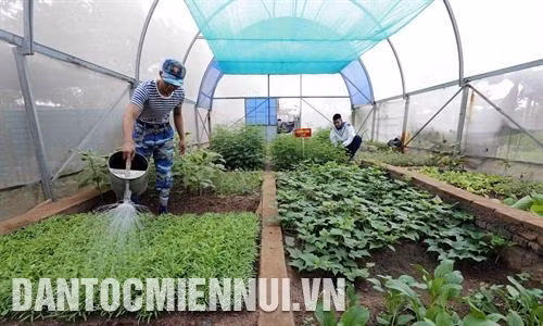 Chiến sĩ đảo Cô Lin ngày đêm nâng cao cảnh giác, canh giữ biển trời của Tổ quốc. Ảnh: Trần Việt Một buổi huấn luyện đội ngũ của cán bộ, chiến sĩ đảo Trường Sa Lớn. Ảnh: Trần Việt Chùa trên đảo Song Tử Tây có phong cách chùa Việt truyền thống, là ngôi chùa lớn nhất ở huyện đảo Trường Sa. Ảnh: Trần Việt Chùa trên đảo Song Tử Tây có phong cách chùa Việt truyền thống, là ngôi chùa lớn nhất ở huyện đảo Trường Sa Dự án trồng rau xanh nhà kính được triển khai tại đảo Sơn Ca với 2 khu nhà kính do Viện khoa học nông nghiệp miền Nam thực hiện và bàn giao cho đơn vị, đảm bảo cơ bản nhu cầu về rau xanh cho đảo Sơn Ca cũng như các đảo khác ở Trường Sa. Ảnh: Trần Việt Các chiến sĩ đảo Trường Sa Lớn duy trì thường xuyên các hoạt động thể thao để rèn luyện sức khỏe và nâng cao đời sống tinh thần. Ảnh: Trần Việt