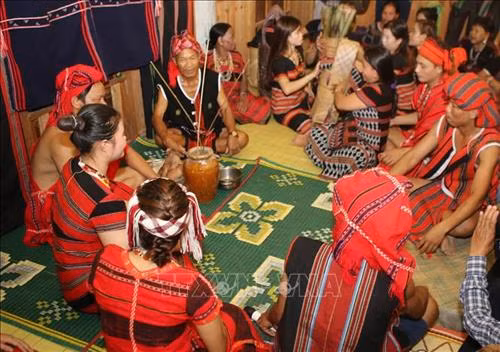 Hai họ ăn mừng tại nhà chú rể. Ảnh: Hồ Cầu-TTXVN
