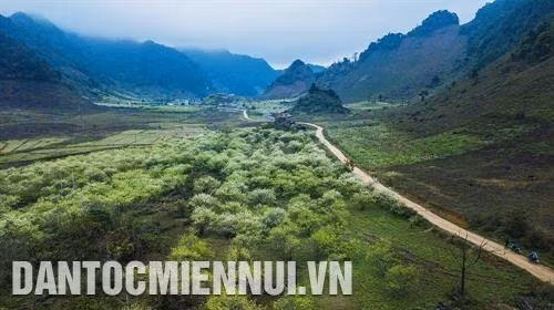 Nét hồn nhiên và thân thiện của những em bé người Mông Cao nguyên Mộc Châu đẹp lạ thường khi mùa xuân về Những thảm hoa cải vàng rực rỡ Mùa xuân là mùa đẹp nhất ở Mộc Châu Khi mùa xuân đến, hoa mận nở trắng xóa giữa núi non trùng điệp