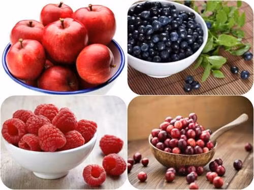 Không muốn cả đời suy thận, chạy thận nên bổ sung ngay siêu thực phẩm này ảnh 2 Không muốn cả đời suy thận, chạy thận nên bổ sung ngay siêu thực phẩm này ảnh 2