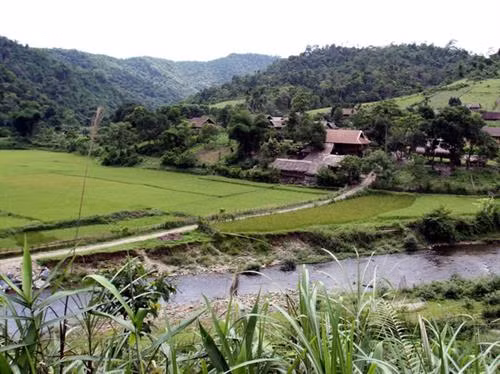 Bản làng của dân tộc Thái định cư trong rừng Pù Mát. Ảnh: An Đăng -TTXVN