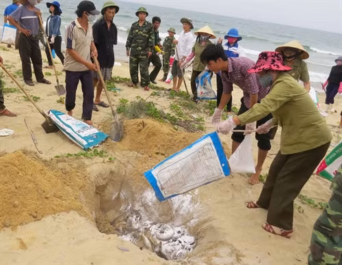 Ngư dân xã Đức Trạch, huyện Bố Trạch (tỉnh Quảng Bình) cùng lực lượng biên phong thu gom, chôn lấp cá chết do ô nhiễm môi trường trôi dạt vào bờ. Ảnh: Võ Dung- TTXVN Ngư dân xã Đức Trạch, huyện Bố Trạch (tỉnh Quảng Bình) cùng lực lượng biên phong thu gom, chôn lấp cá chết do ô nhiễm môi trường trôi dạt vào bờ. Ảnh: Võ Dung- TTXVN