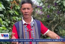 Đồng bào K’Ho xây dựng cà phê OCOP trên cao nguyên Langbiang