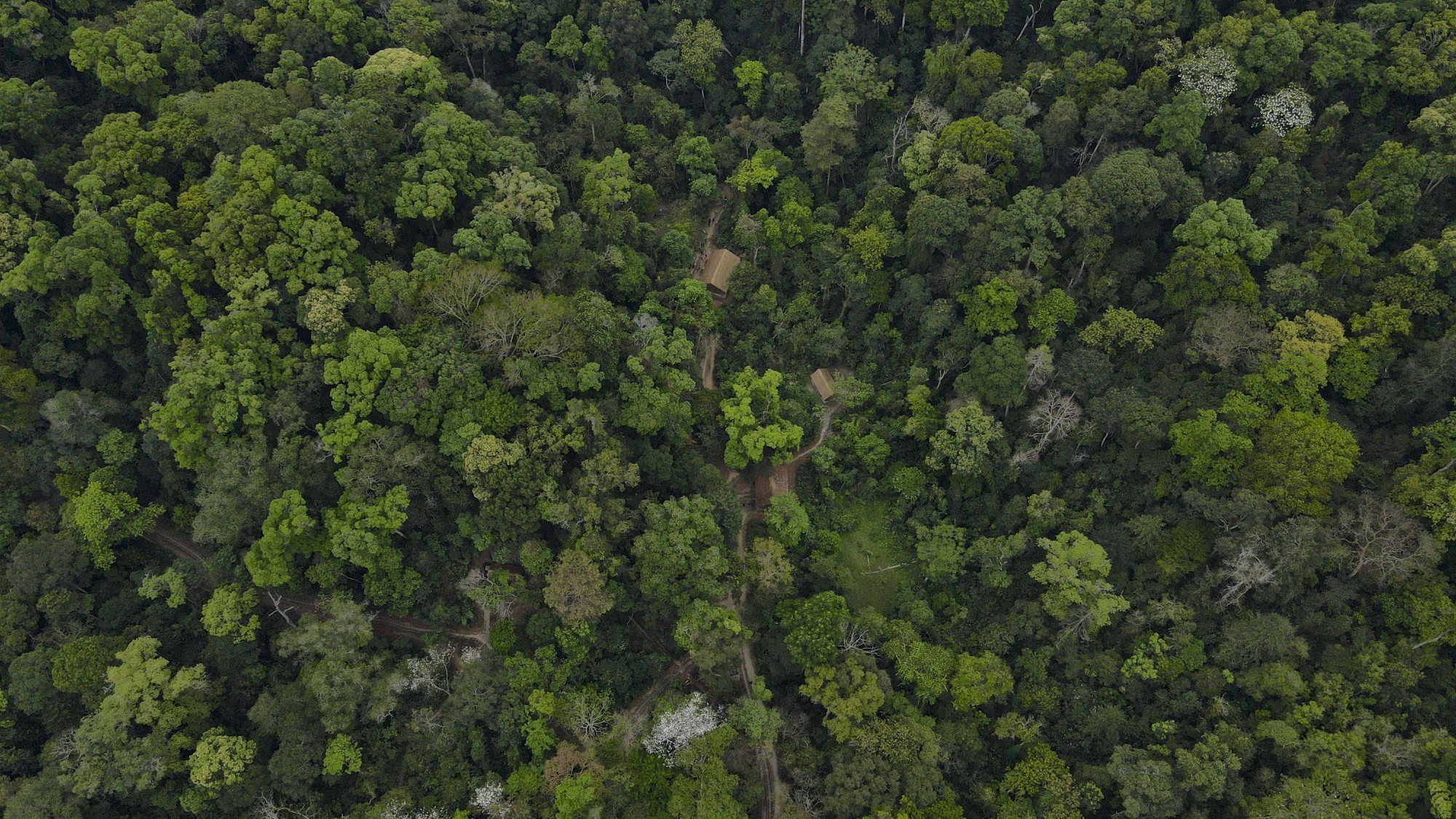 15-so chi huy chien dich dbp o xa Muong Phang-trung kien.jpg