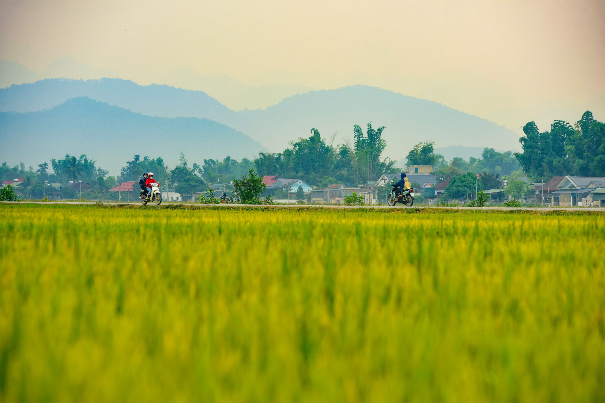 16-canh dong Muong Thanh-xuan tu.jpg