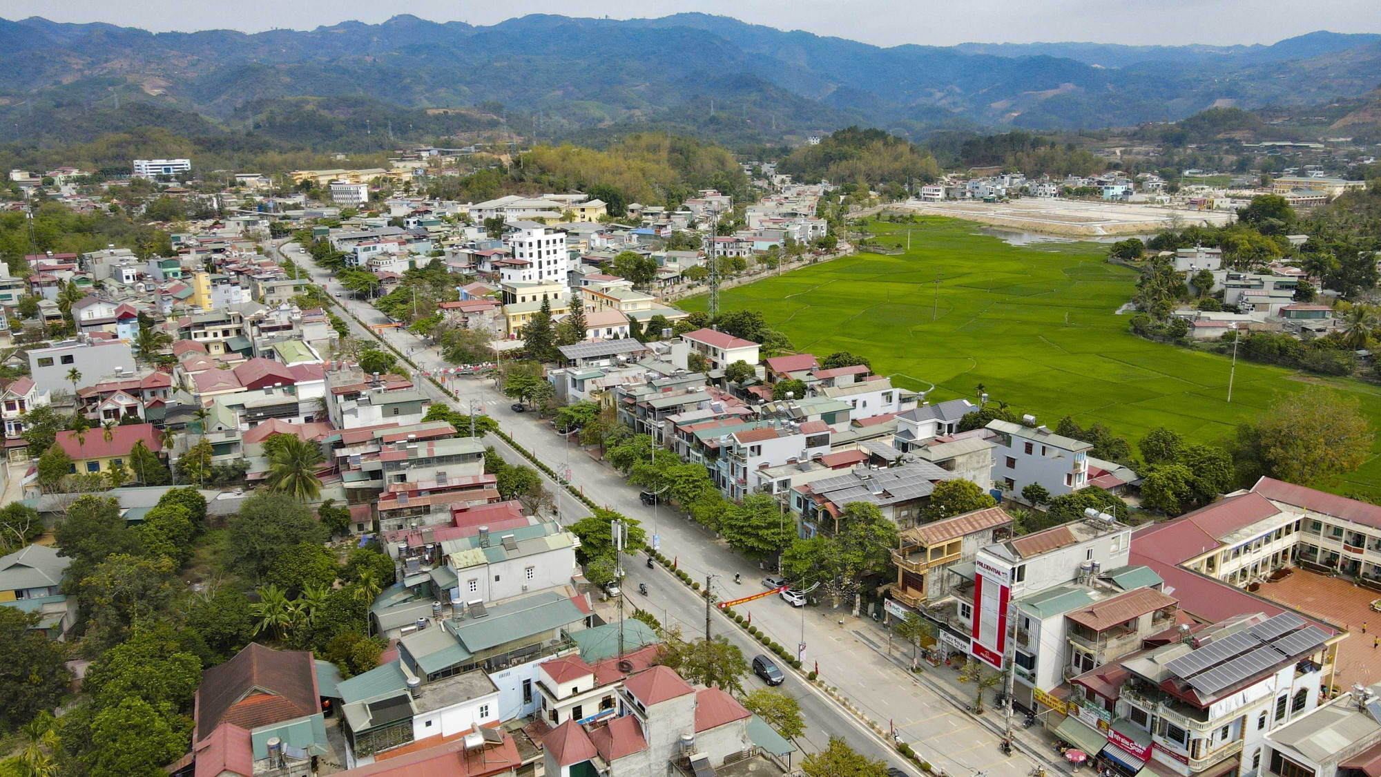 17-Him Lam-xuan tu.jpg