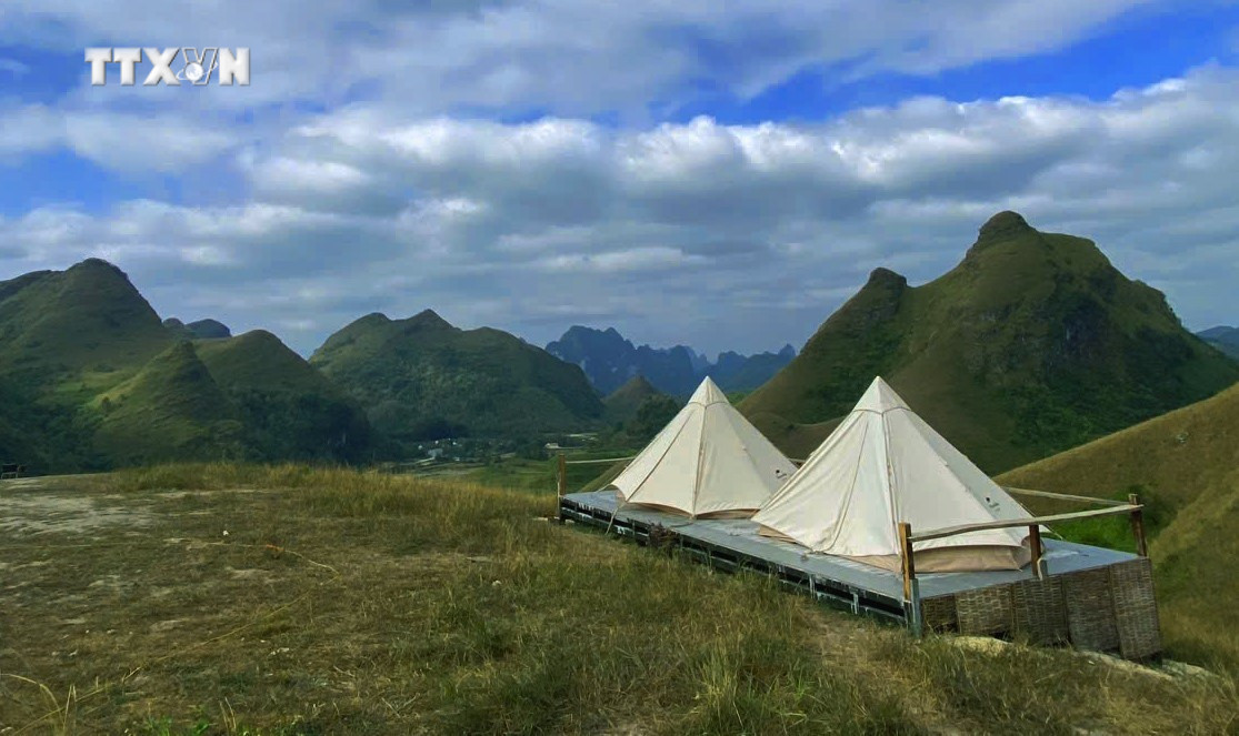 Dịch vụ cắm trại nghỉ đêm (Camping) tại đồi cỏ Ba Quáng được nhiều du khách trẻ yêu thích. Ảnh: Quốc Đạt - TTXVN vna_potal_doi_co_dep_nhu_phim_co_tich_o_ha_lang_cao_bang_7722179.jpg