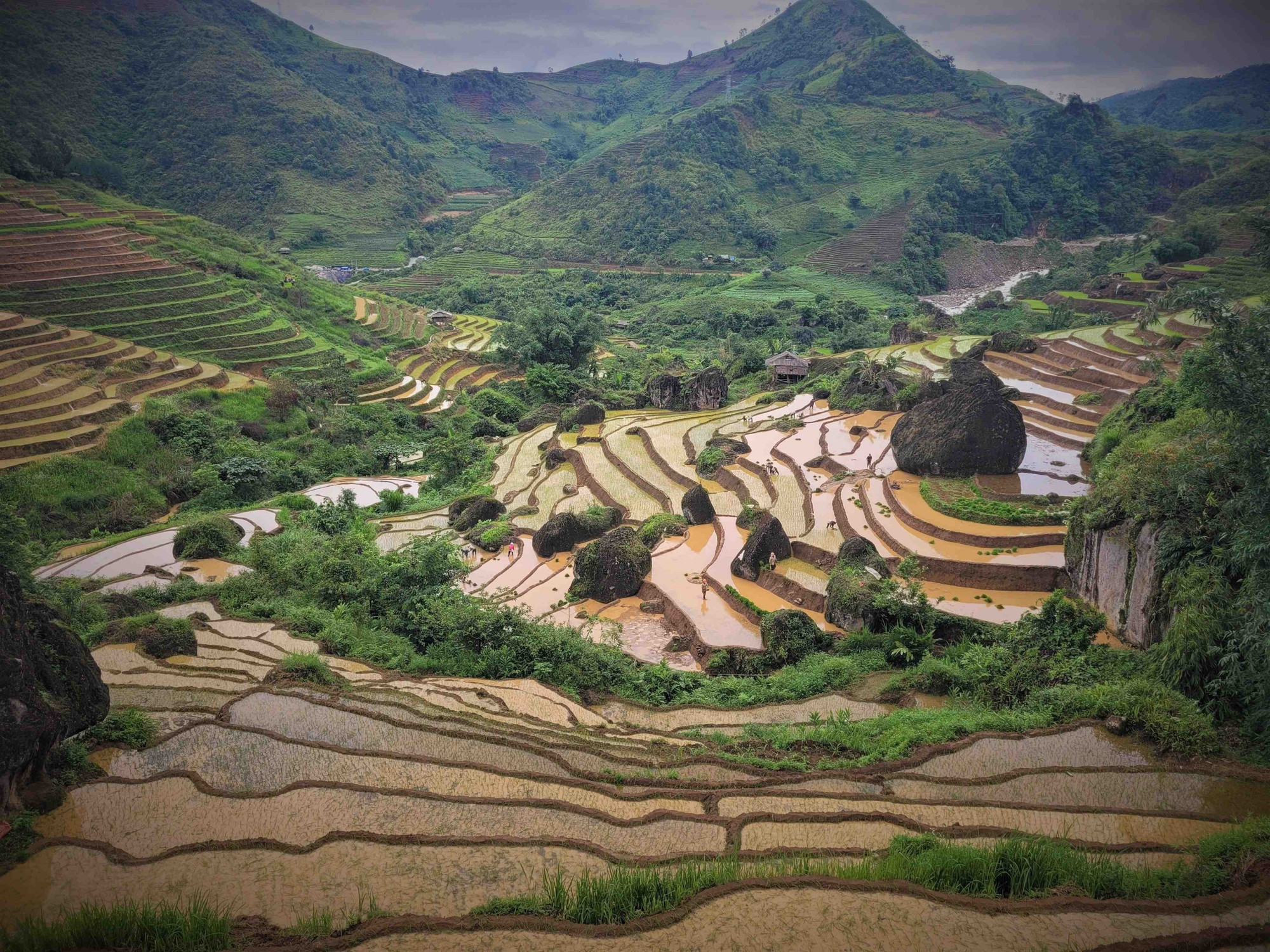 Vẻ đẹp của những thửa ruộng bậc thang Khun Há, huyện Tam Đường, tỉnh Lai Châu vào mùa nước đổ. Ảnh: Nguyễn Oanh-TTXVN LC2.jpg