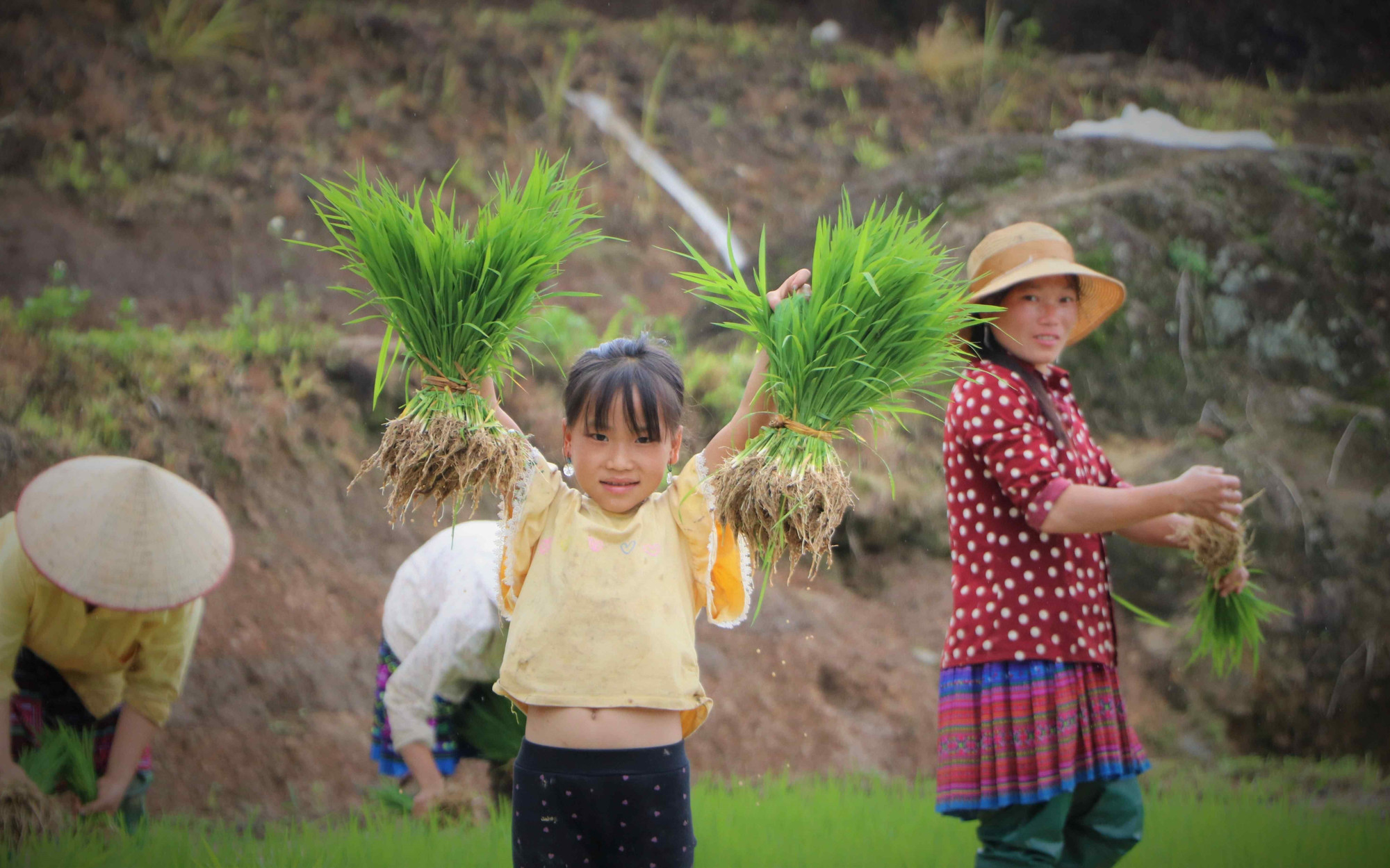Trẻ em Mông theo mẹ lên ruộng bậc thang vào mùa cấy. Ảnh: Nguyễn Oanh-TTXVN LC11.jpg