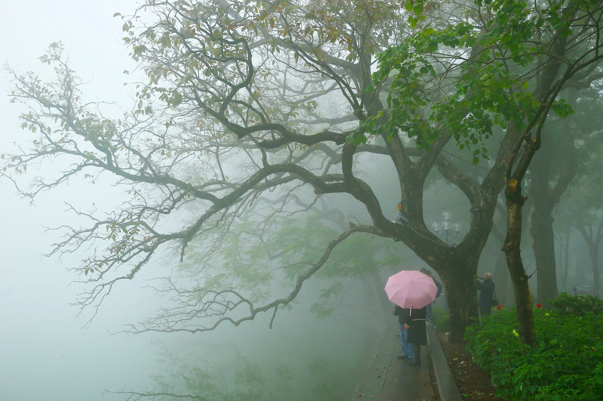 Hồ Gươm như một bức tranh trong sương