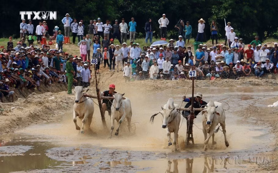 vna_potal_ngay_di_san_van_hoa_viet_nam_2311_gop_phan_to_tham_hinh_anh_viet_nam_voi_the_gioi_7087873.jpg