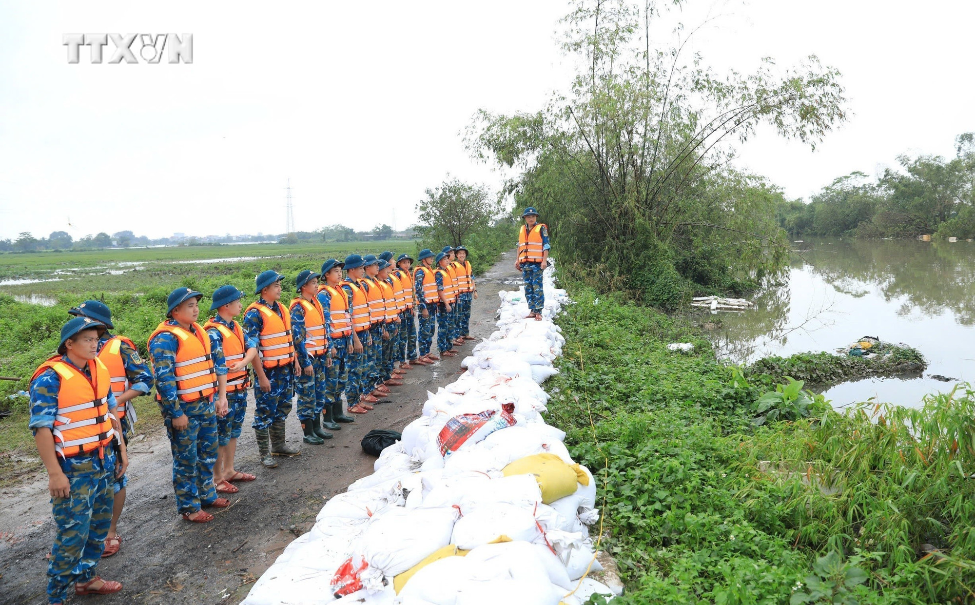 Lực lượng chức năng cùng người dân xã Đại Áng (huyện Thanh Trì, Hà Nội) chuẩn bị gần 10.000 bao tải cát, đóng cọc để gia cố đê tả sông Nhuệ đoạn qua Trạm bơm Hòa Bình. Ảnh: TTXVN phát vna_potal_ha_noi_san_sang_so_tan_nguoi_dan_huyen_thanh_tri_den_noi_an_toan_7588362.jpg
