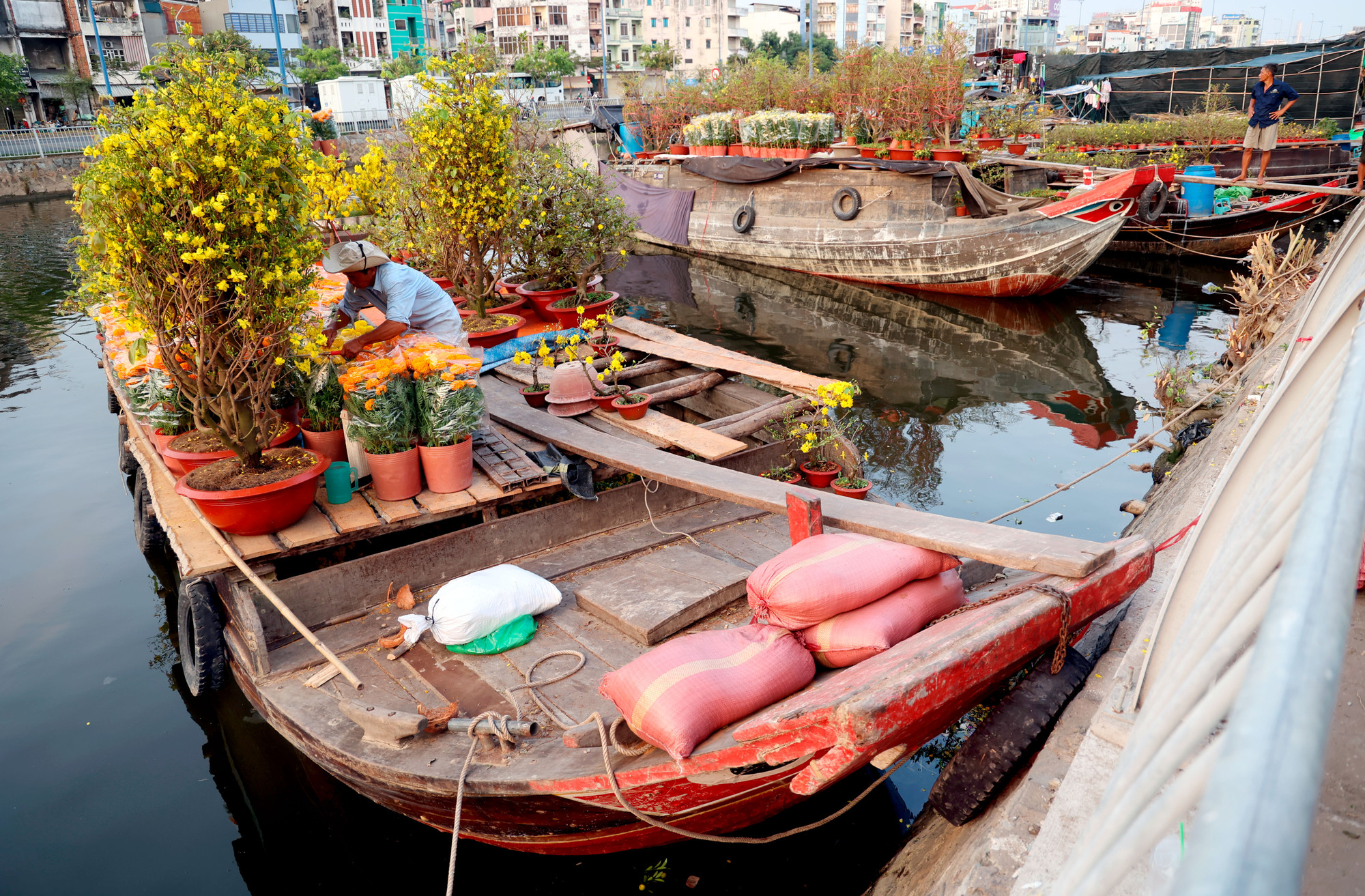 Các tiểu thương chở nhiều loại hoa, cây kiểng như mai vàng, cúc, tắc, cúc mâm xôi đa dạng màu sắc, chủng loại tại khu vực bến Bình Đông, quận 8. Ảnh: An Hiếu