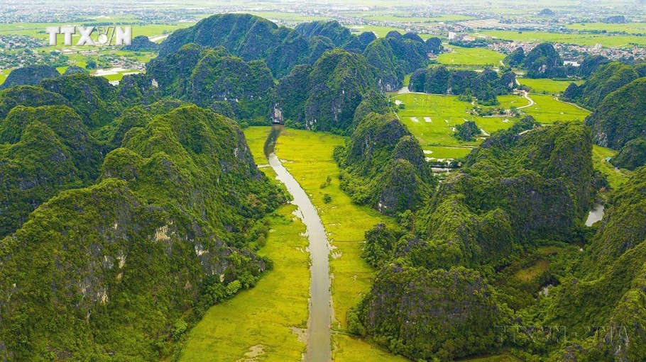 Dòng Ngô Đồng vàng rực đón du khách trong và ngoài nước về tham quan Tam Cốc - Bích Động. (thuộc Quần thể danh thắng Tràng An). Ảnh: Minh Đức - TTXVN vna_potal_ky_niem_10_nam_quan_the_danh_thang_trang_an_duoc_unesco_ghi_danh_la_di_san_van_hoa_va_thien_nhien_the_gioi_7447173.jpg