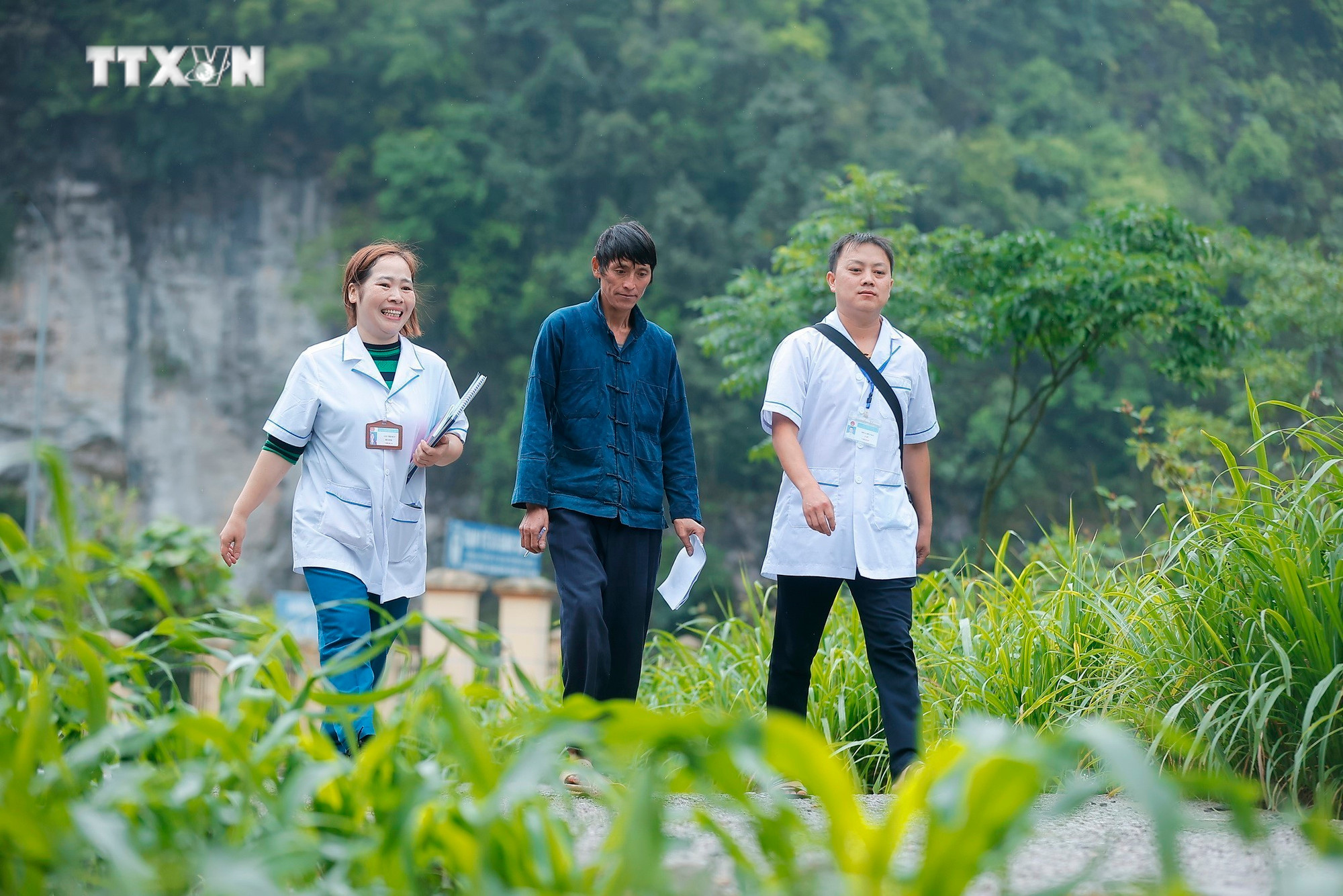 Anh Vàng My Pó (giữa), nhân viên y tế thôn bản thôn Hố Quáng Phỉn (xã Giàng Chu Phìn, huyện Mèo Vạc) phối hợp cùng nhân viên y tế trạm nắm bắt thông tin, tuyên truyền, hỗ trợ tích cực về các dịch vụ y tế, chăm sóc sức khỏe cho bà con nơi đây. Ảnh: Minh Quyết – TTXVN vna_potal_ha_giang_phat_huy_hieu_qua_he_thong_y_te_co_so_o_vung_cao__7454756.jpg