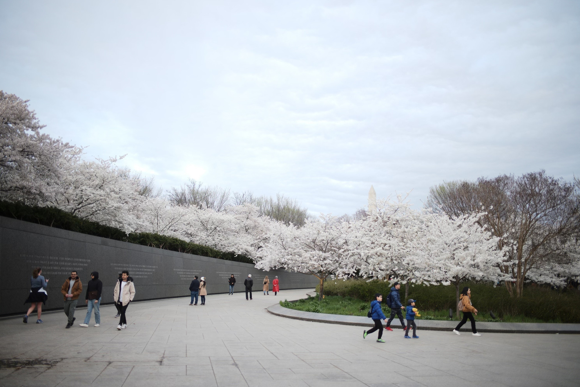 Một góc hoa chạy dọc quanh con đường ven hồ Tidal Basin. Ảnh: Kiều Trang - PV TTXVN tại Mỹ adao11.jpg