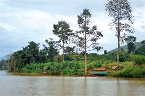 Đặc sản sông Sê San