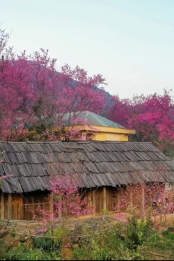 Tết Dương lịch 2026: Tour nội tỉnh hút khách