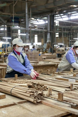 Khai thác lợi thế để phát triển công nghiệp và xây dựng