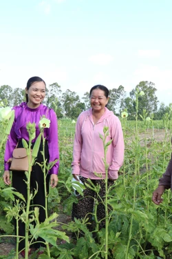 Tín dụng chính sách tiếp sức phụ nữ Khmer nâng cao sinh kế