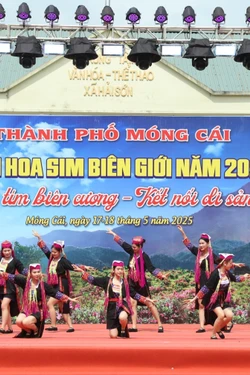 Độc đáo, đặc sắc Lễ hội Hoa sim biên giới 2025