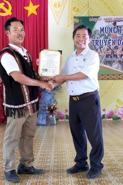 Lúa Mẹ ở vùng cao Phan Sơn (Lâm Đồng) đạt chứng nhận hữu cơ