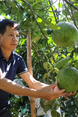 Người dân xã biên giới làm giàu nhờ mô hình kinh tế tổng hợp