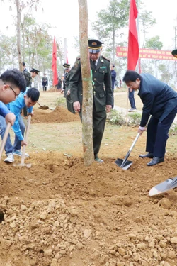 Lai Châu gắn việc trồng cây với quản lý, bảo vệ diện tích rừng