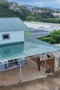 Lâm Đồng chỉ đạo hoàn thành xóa nhà tạm trong tháng 7