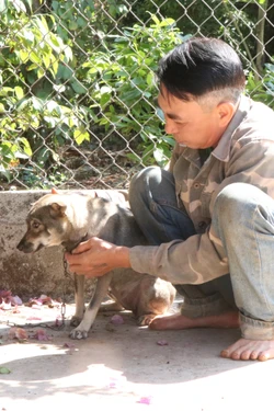 Siết chặt các biện pháp phòng, chống bệnh dại trong mùa nắng nóng