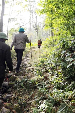 Đánh thức tiềm năng du lịch xanh trên con đường đá cổ Pavie