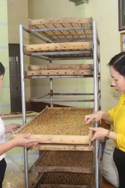 Mở lối phát triển nông nghiệp địa phương, giúp xóa đói giảm nghèo