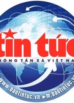 Một voi nhà bị chết khi thả nuôi trong rừng