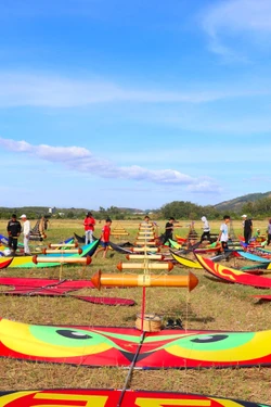 Lễ hội Diều sáo nghệ thuật thu hút đông đảo người dân