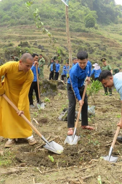 Chung tay phủ xanh biên giới, hướng tới phát triển bền vững