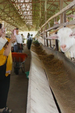 Phát huy lợi thế sông nước, xây dựng sản phẩm du lịch sinh thái đặc thù