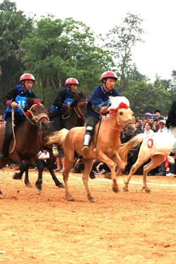 Nét riêng độc đáo của đua ngựa vùng cao thu hút du khách