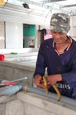 Nuôi lươn trong hồ xi măng giúp nông dân thu tiền tỷ