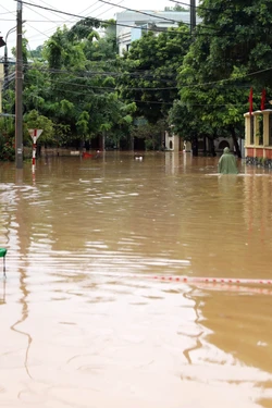 Mực nước tại thượng lưu vẫn ở mức cao, Tuyên Quang chủ động ứng phó, bảo đảm an toàn cho người dân