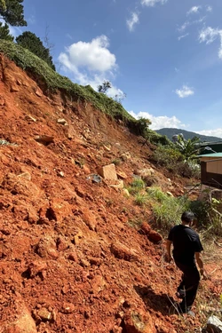 Lâm Đồng: Di dời nhiều hộ dân ra khỏi khu vực đồi thông 35 ha đang sạt lở