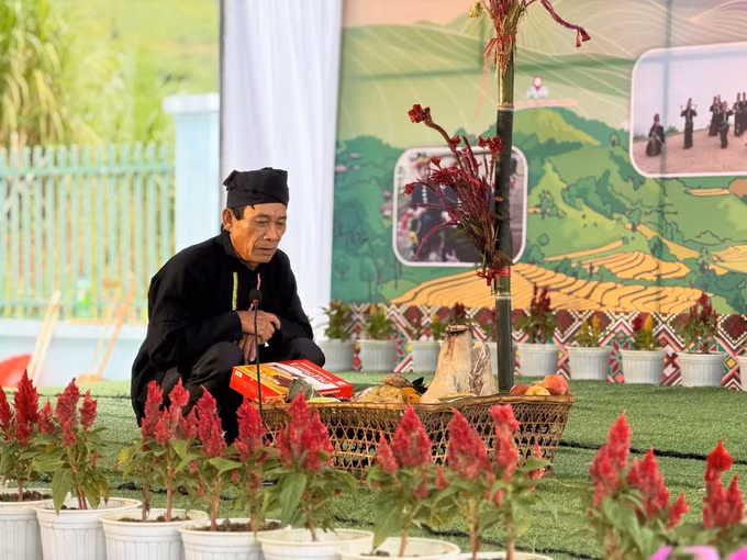 hoa-mao-ga-22226-22.jpg