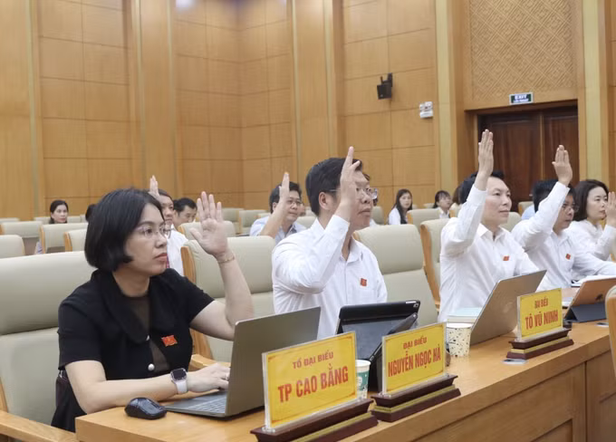 Các đại biểu biểu quyết thông qua nghị quyết.