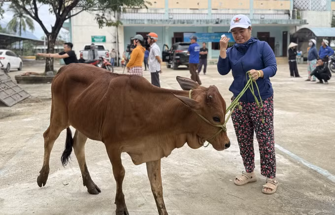 Chị Đinh Thị Ái Diễm (thôn Mỹ Phú, xã Hòa Thịnh) vui mừng khi được nhận bò giống.