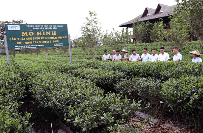 Các đại biểu tham quan mô hình nông nghiệp tuần hoàn gắn với phát triển du lịch cộng đồng Tiến Yên, xã Tân Cương, tỉnh Thái Nguyên. Ảnh: Trần Trang/TTXVN thai-nguyen1-25925.jpg