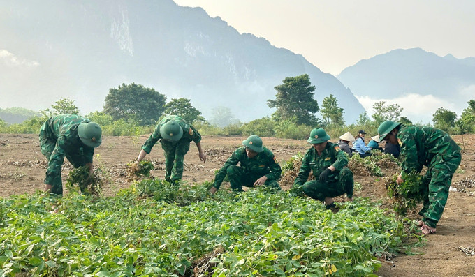 Lực lượng Bộ đội Biên phòng trên địa bàn biên giới xã Trường Sơn (Quảng Trị) vừa vững tay súng bảo vệ biên cương, vừa tích cực tham gia hỗ trợ nhân dân phát triển kinh tế. Ảnh: Võ Dung/TTXVN