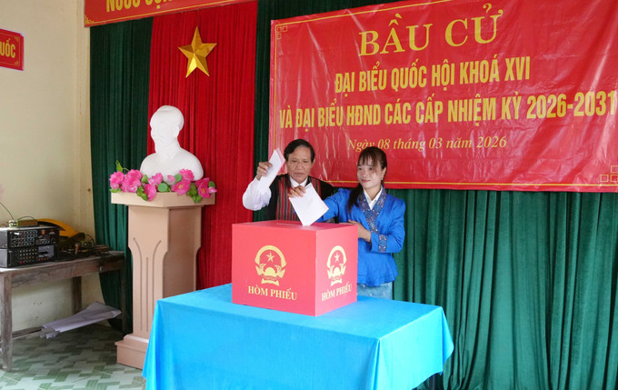 Già làng, người có uy tín Hồ Văn Xi và em Hồ Thị Thiều (cử tri lân đầu tiên đi bỏ phiếu) bỏ phiếu bầu đại biểu Quốc hội khóa XVI và đại biểu Hội đồng nhân dân các cấp nhiệm kỳ 2026 – 2031.