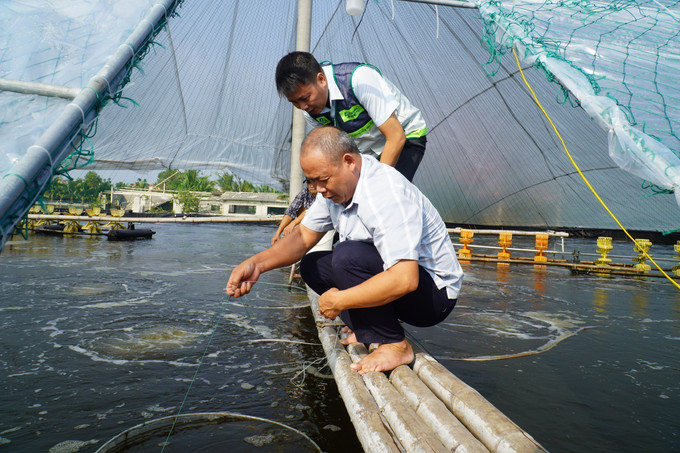 Hộ nuôi thủy sản ông Lê Văn Phương (thôn Châu Triều, xã Hoằng Châu) được cán bộ khuyến nông hướng dẫn các biện pháp khôi phục ao nuôi sau mưa lũ. Hộ nuôi thủy sản ông Lê Văn Phương (thôn Châu Triều, xã Hoằng Châu) được cán bộ khuyến nông hướng dẫn các biện pháp khôi phục ao nuôi sau mưa lũ.