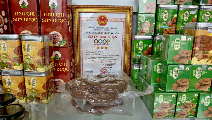 Các sản phẩm chế biến từ nấm được giới thiệu tại gian hàng “Nương Farm”. Ảnh: Thanh Sang/TTXVN Các sản phẩm chế biến từ nấm được giới thiệu tại gian hàng “Nương Farm”. Ảnh: Thanh Sang/TTXVN